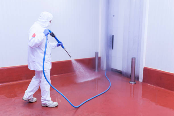 Professional  Pressure Washing Services in Momence, IL