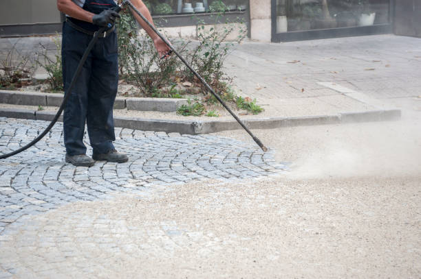 Best Boat and Dock Cleaning  in Momence, IL